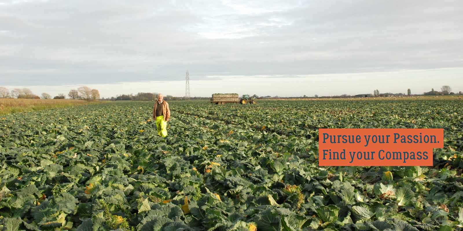 Sous Chef in UK Compass Group Ireland